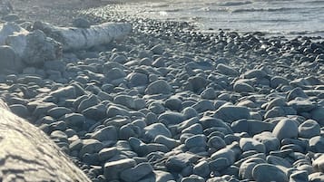 Plage à proximité, chaises longues, serviettes de plage