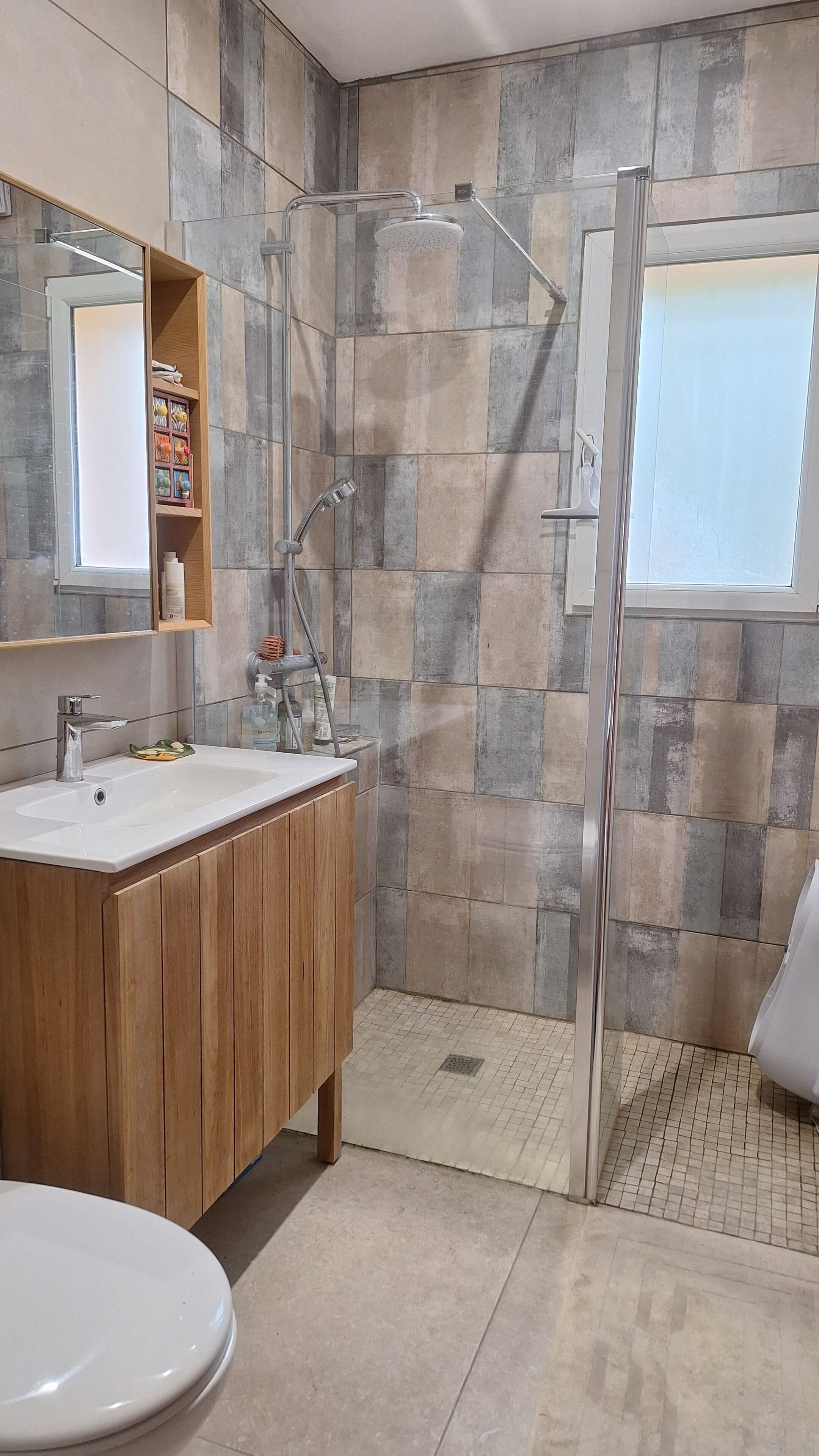Hair dryer, towels, soap, toilet paper