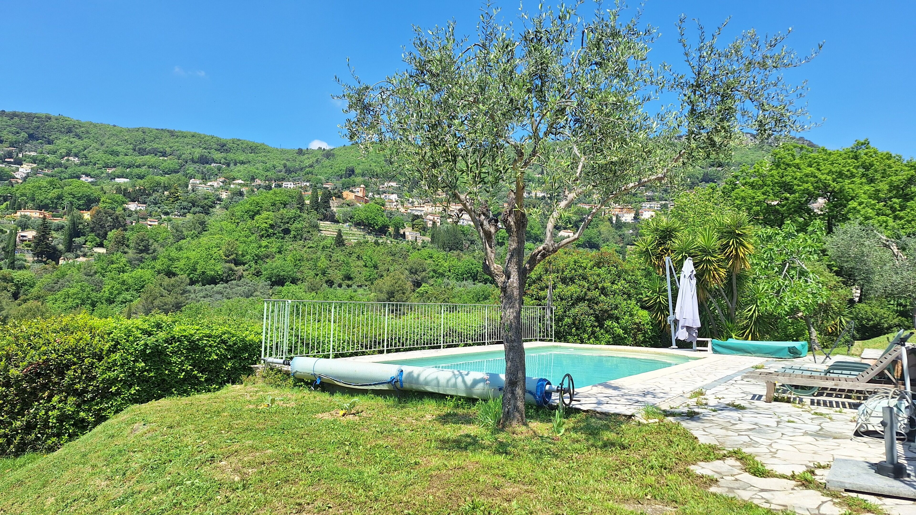 A pool area with a tree, a fence, and a view of a hillside with buildings.