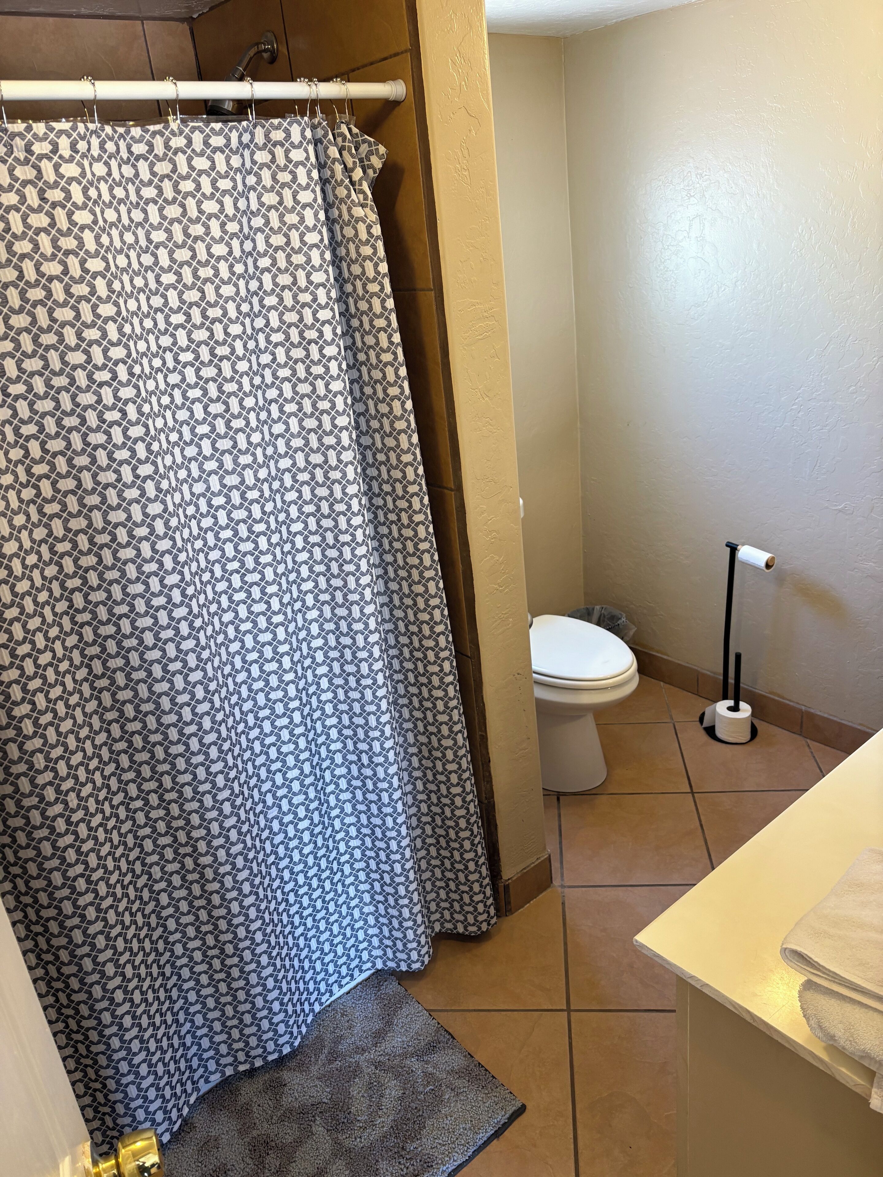 Hair dryer, towels, soap, shampoo