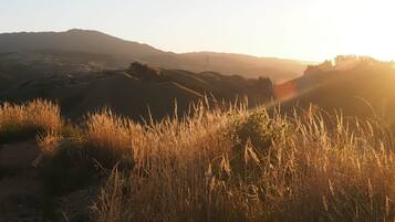 A landscape with rolling hills and tall grasses.