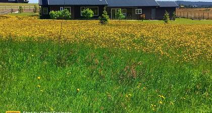 Delightful 6-bedroom house in tranquil city of Puerto Varas perfect for families