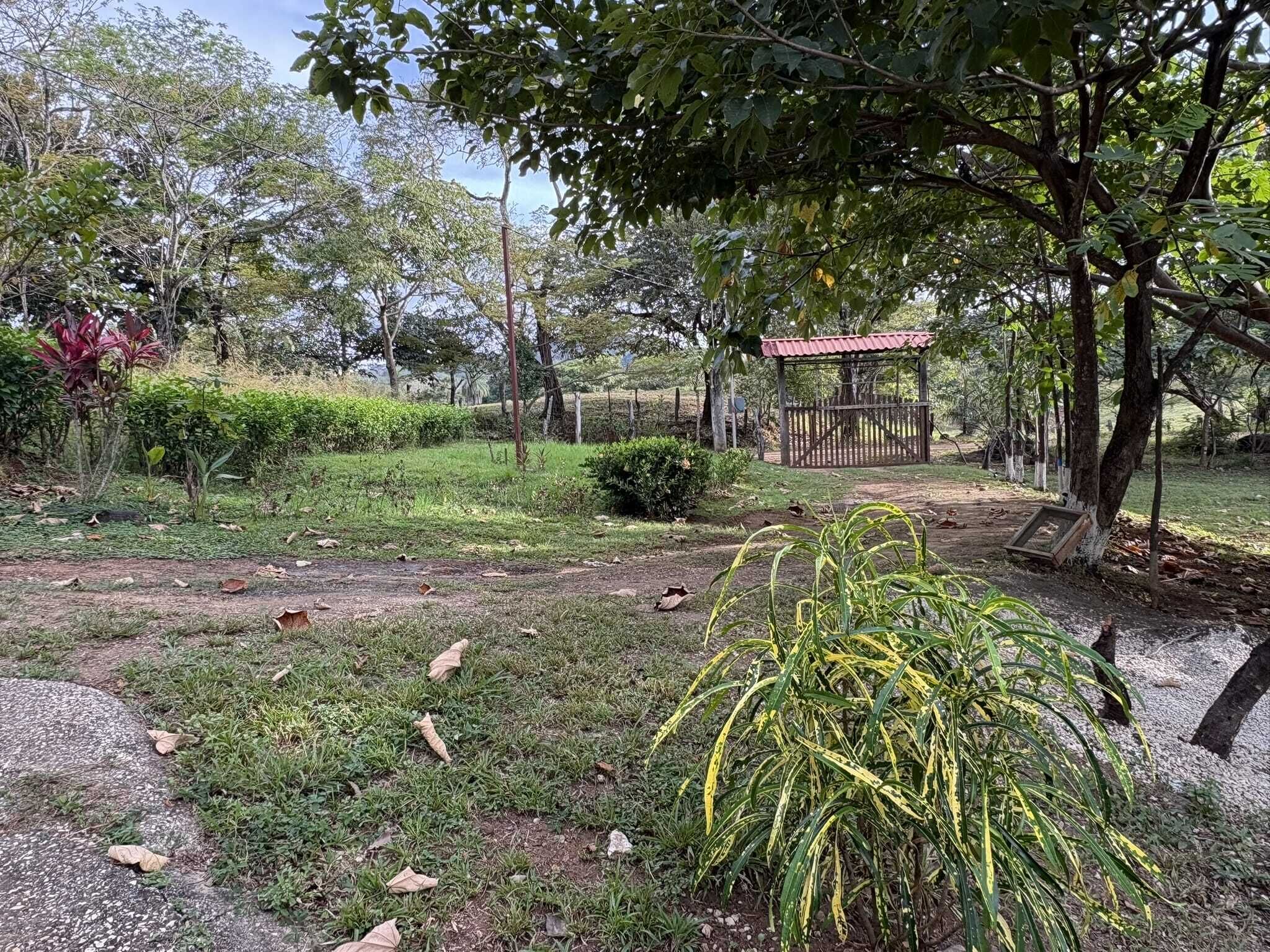 A garden with a gazebo, various plants, and a gravel path.