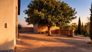 A courtyard with a tree, stone walls, and a building with a tiled floor. - Ancient cottage nestled in the heart of the Sicilian countryside just a few steps from the sea (Partinico)