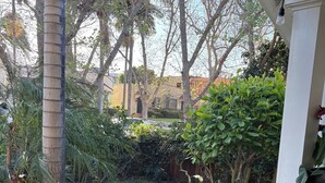 A garden with a brick wall, a palm tree, and a bird feeder. - Beautiful Craftsman Home in Terrific Hollywood Neighborhood (Los Angeles)