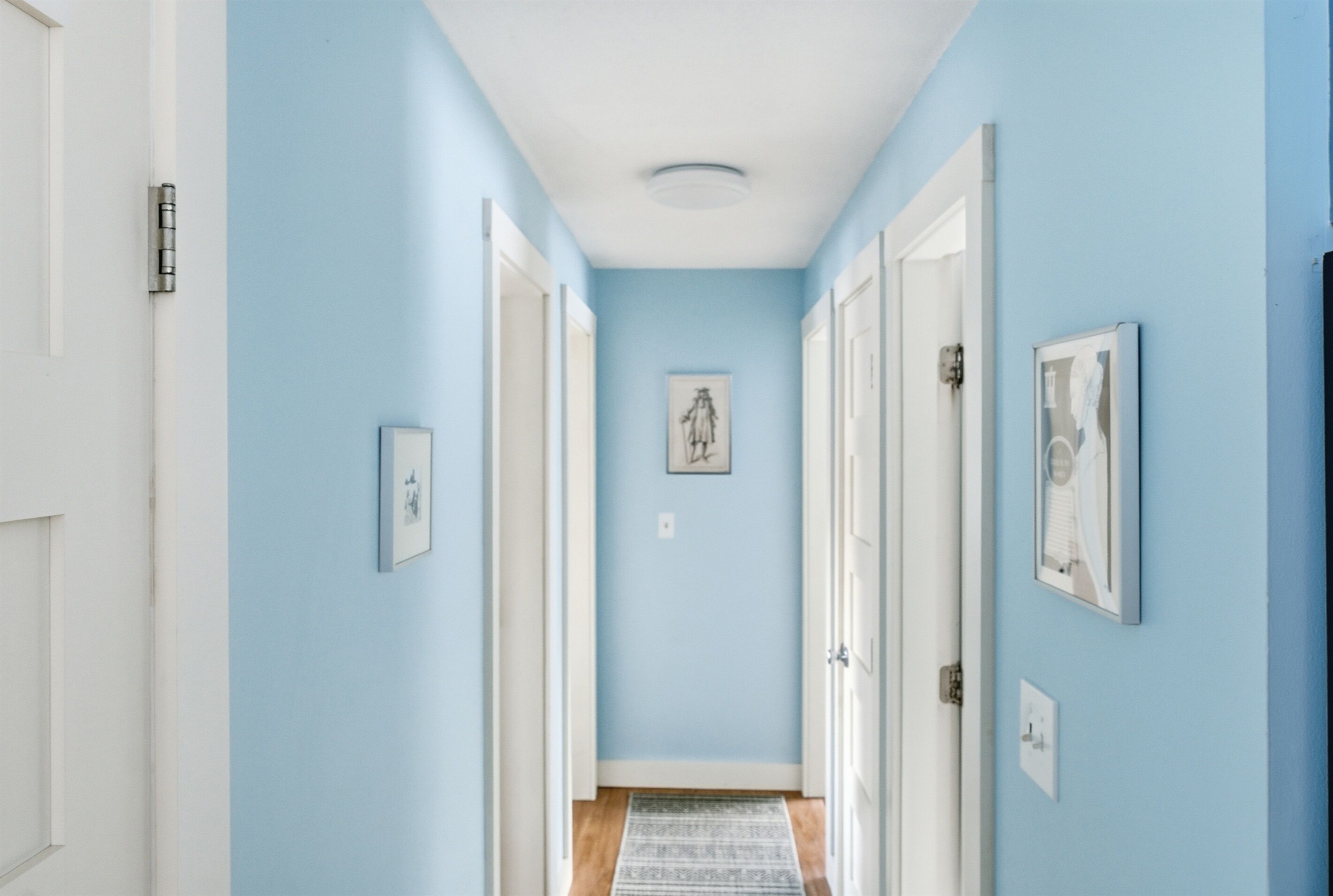 A hallway with light blue walls, white doors, and a patterned rug.