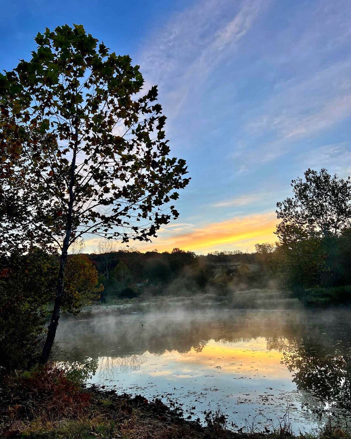 A calm lake with trees reflecting the sky, surrounded by a natural landscape.
