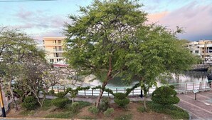 A view of a landscaped area with a tree, a body of water, and a building in the background.