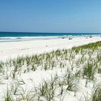 A beach with sand dunes and a clear sky.