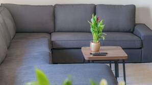 A grey sofa with a small wooden table and a potted plant in front. - Slavonian home with pool, jacuzzi, barbecue and family fun (Požega)