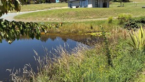 A modern house with a large glass window, a pond, and a grassy area with trees. - Private attractive single story bungalow, sleeping 4 people. (Redwood Valley)