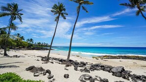 A beach with palm trees, a clear sky, and the ocean.