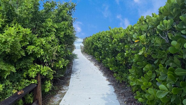 A pathway flanked by dense green foliage leading to a beach. - Monthly Coastal Retreat | Garage, Pools, Beach Access & Quiet Community (New Smyrna Beach)