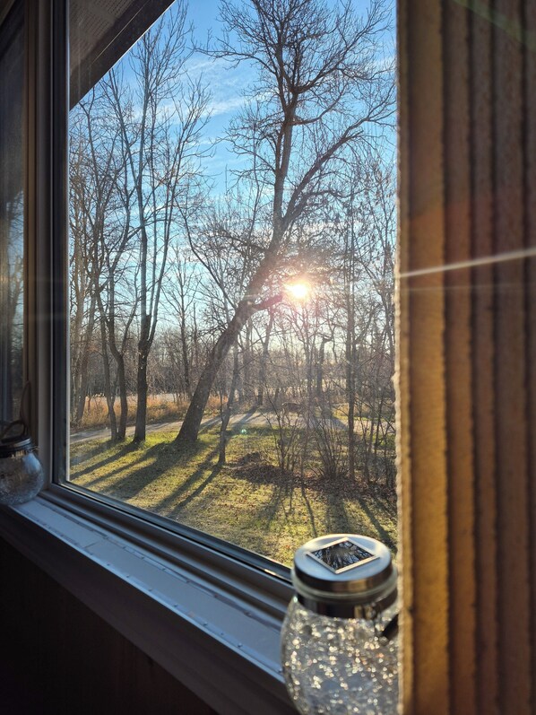 A window with a view of a forest and a clear sky.