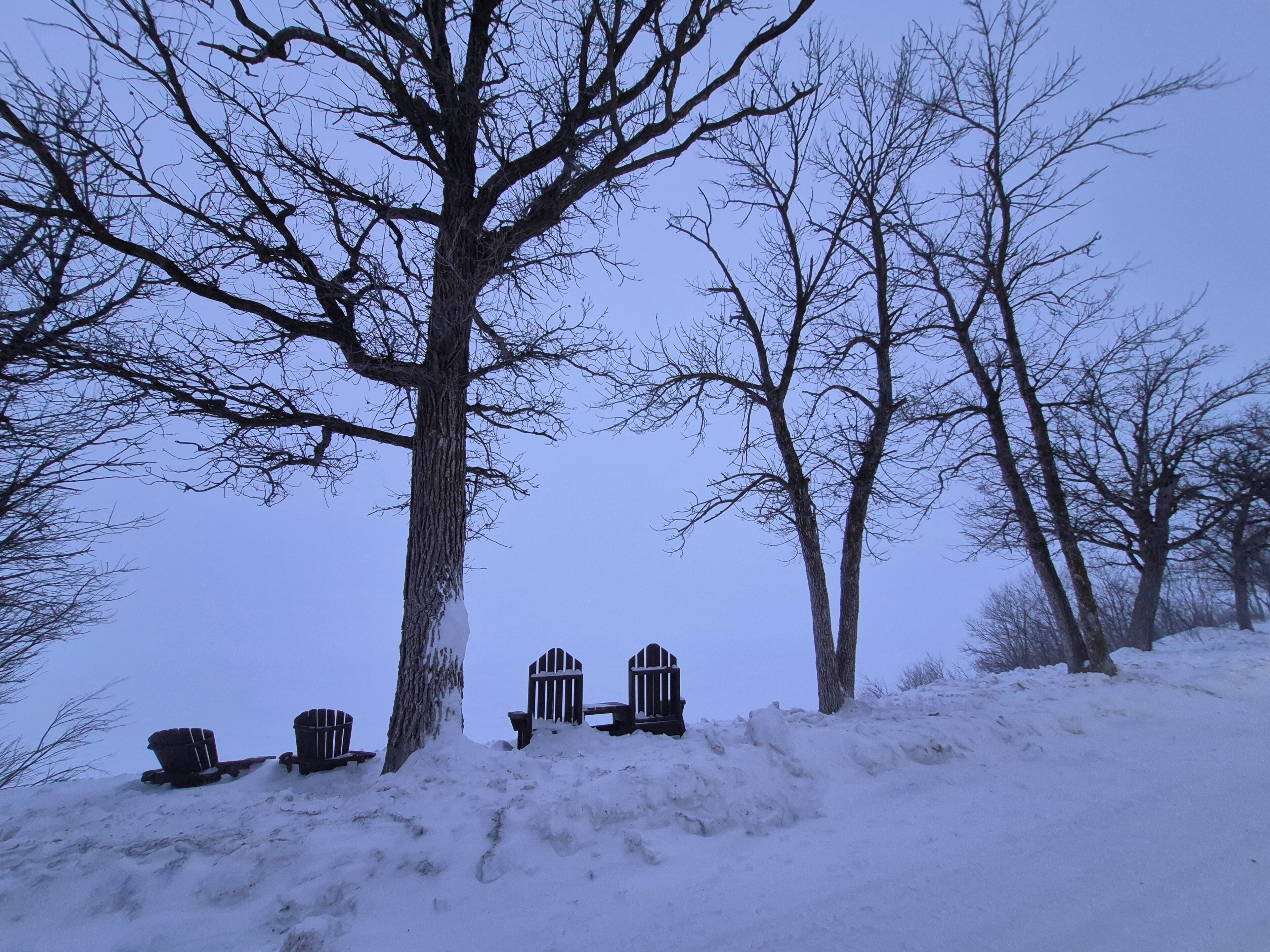 A snow-covered landscape with bare trees and wooden structures.