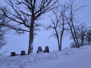 Uklassifisert bilde, 3 av 47, knapp