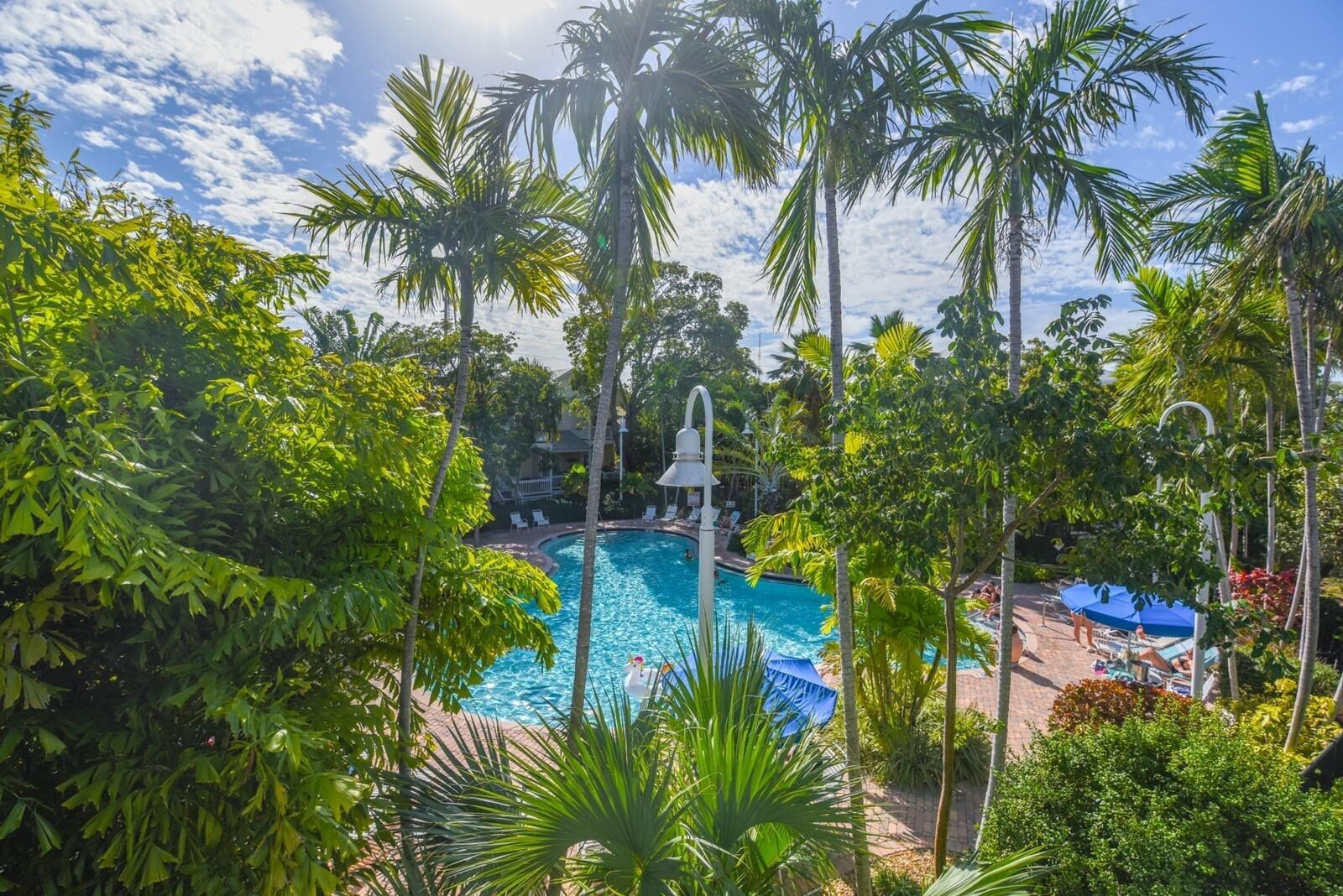 A swimming pool surrounded by palm trees and lounge chairs.
