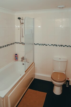 Bathroom - The Phoenix  (Swansea)