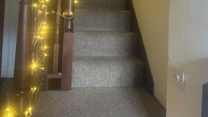 A carpeted staircase with a wooden handrail and string lights. - The Phoenix  (Swansea)
