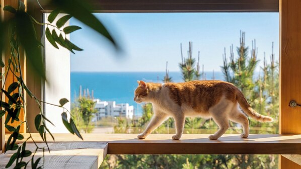 Un chat se promène sur une corniche en bois, près d’une fenêtre donnant sur l’océan et la végétation.