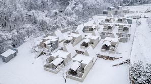 A snow-covered residential area with multiple houses, each with a distinct architectural style, surrounded by trees.