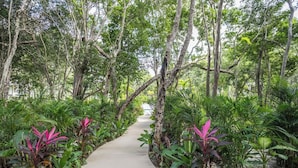 A concrete pathway flanked by dense tropical foliage and trees, leading into a forested area. - Pool-View Studio Retreat | Wi-Fi, Smart TV and AC (Tulum)