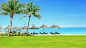 A beachside resort with palm trees, thatched umbrellas, and sun loungers.