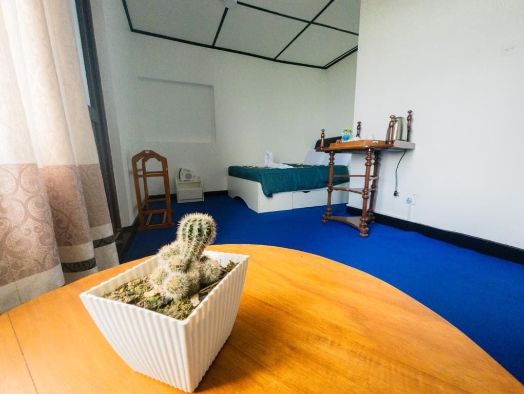 A room with a wooden table, a white ribbed planter with a cactus, a bed with a green blanket, a wooden chair, and a small wooden shelf with items on it.