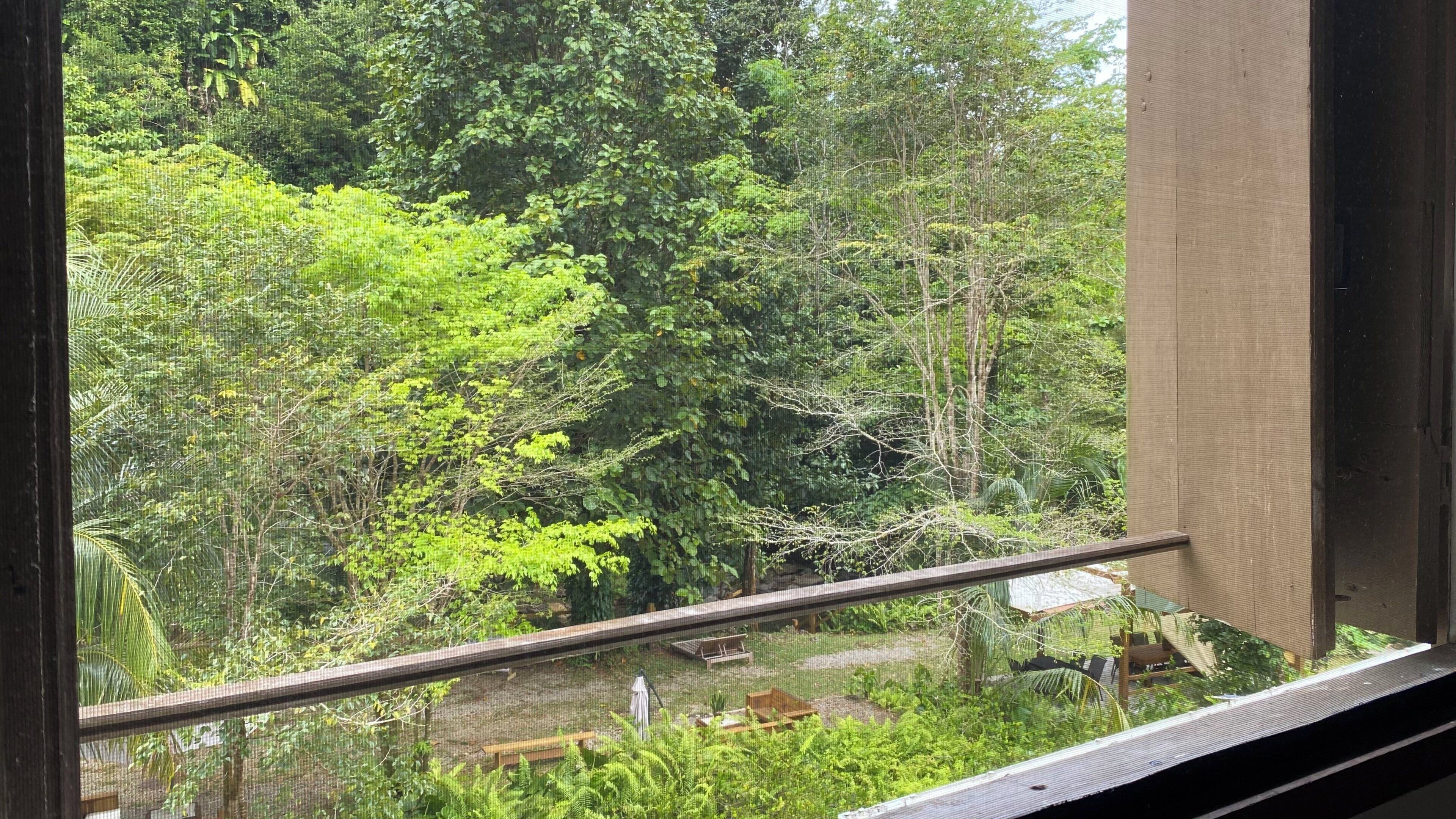 A window view of a lush, green forested area with a wooden fence and a bench.