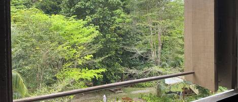 A window view of a lush, green forested area with a wooden fence and a bench.