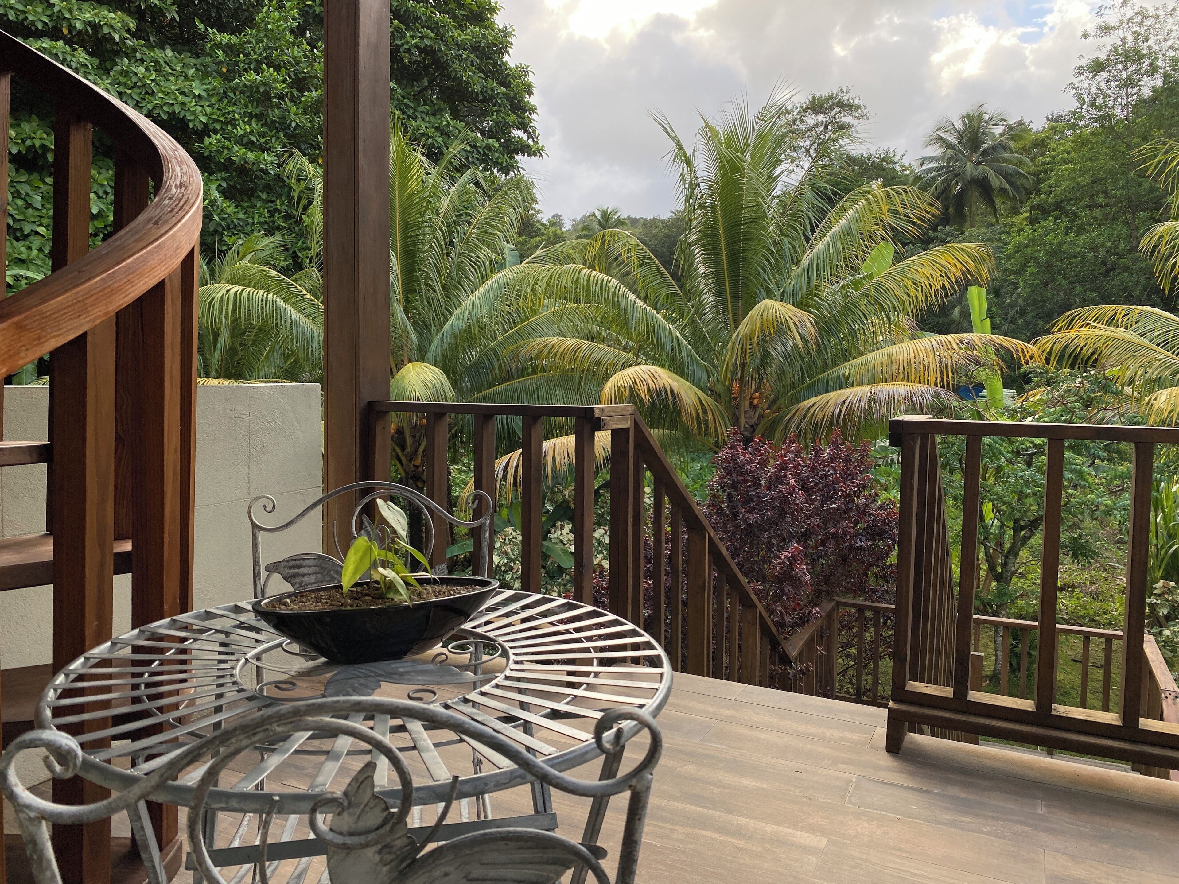 Habitación Confort | Terraza o patio