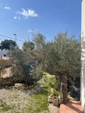 Property grounds - Caputo villa with parking space and immense garden (Alliste)
