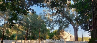 Soothing 2-Bedroom Cottage with AC in Charming Belleview Near the Village &Ocala