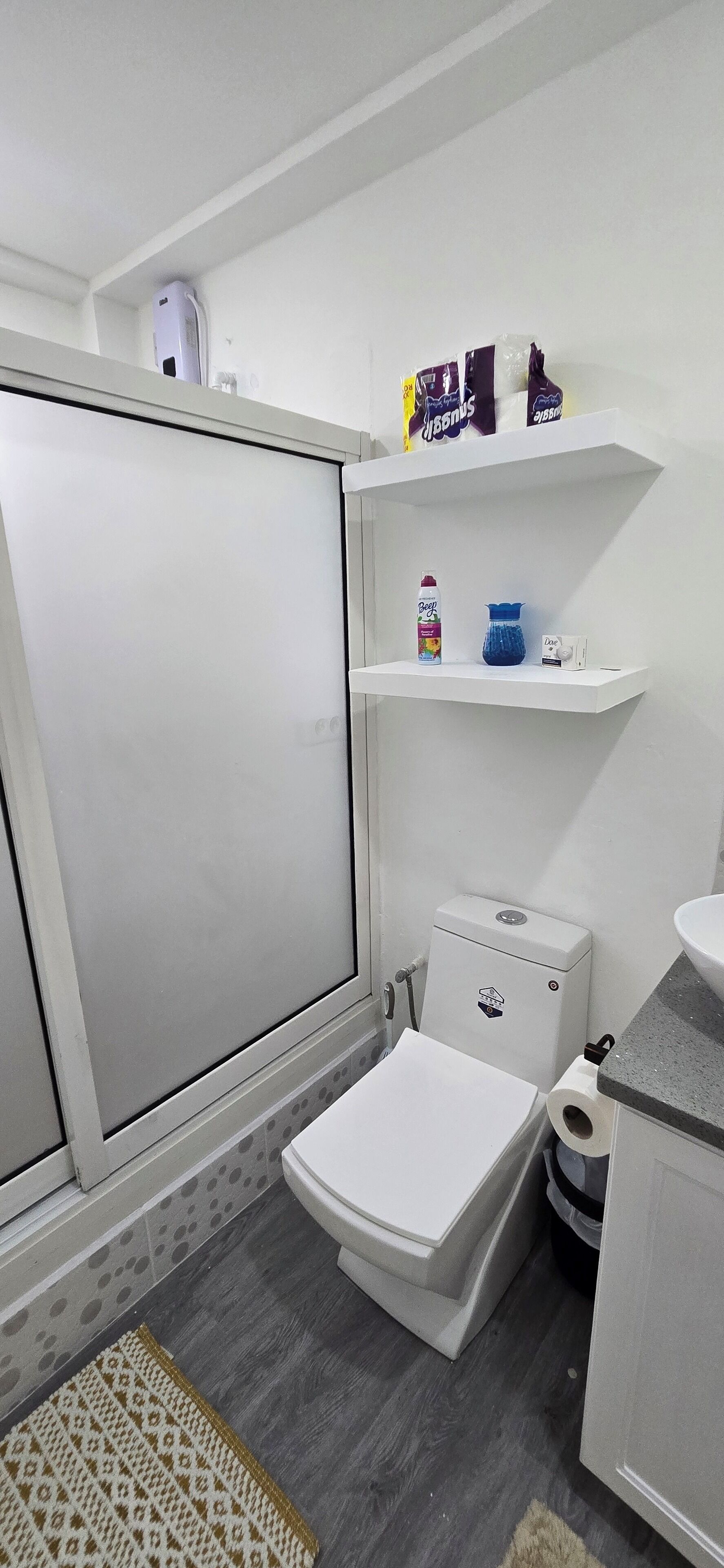 A compact bathroom with a toilet, a small shelf with toiletries, and a white sink.