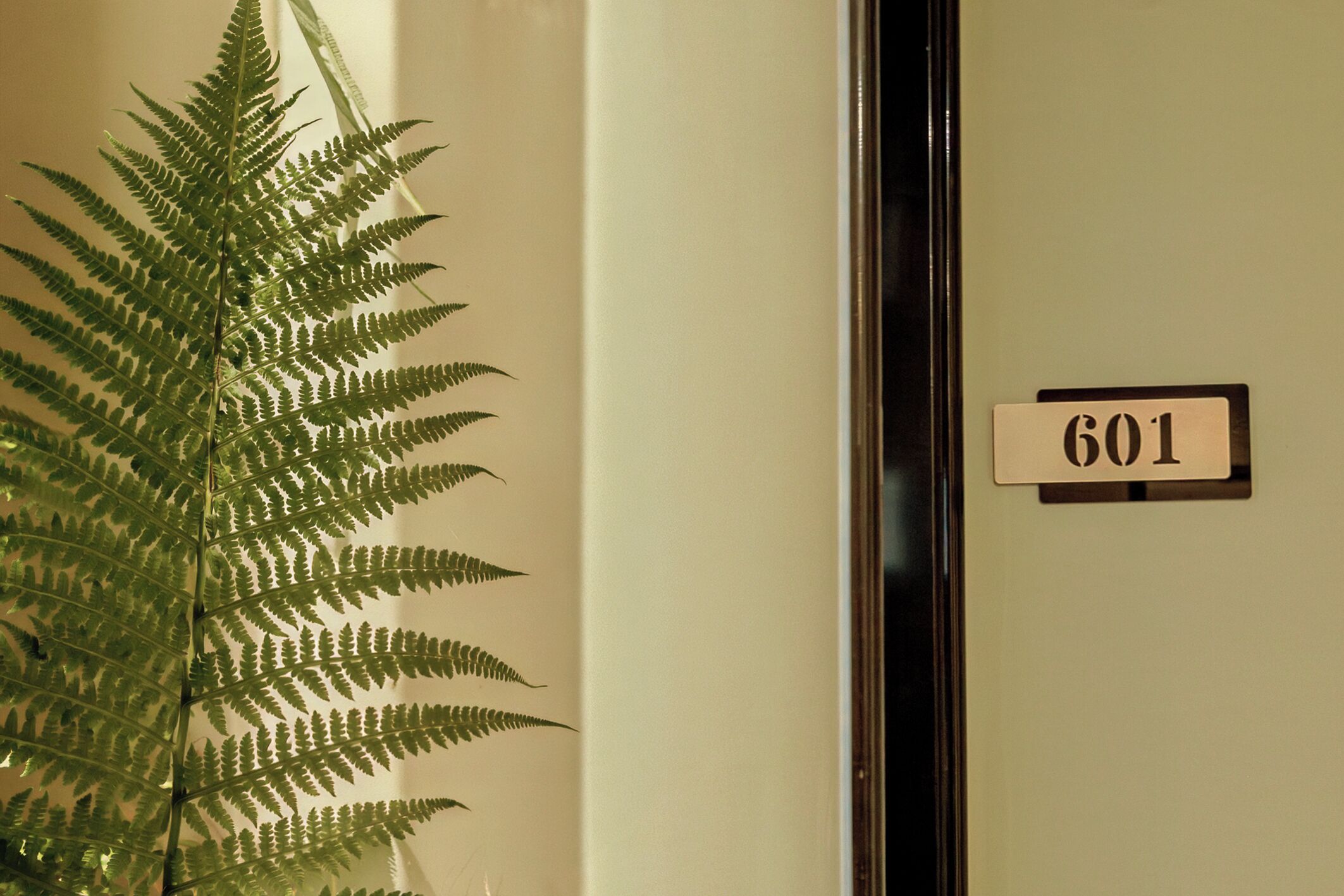 A room with a fern plant and a door with a sign reading '601'.