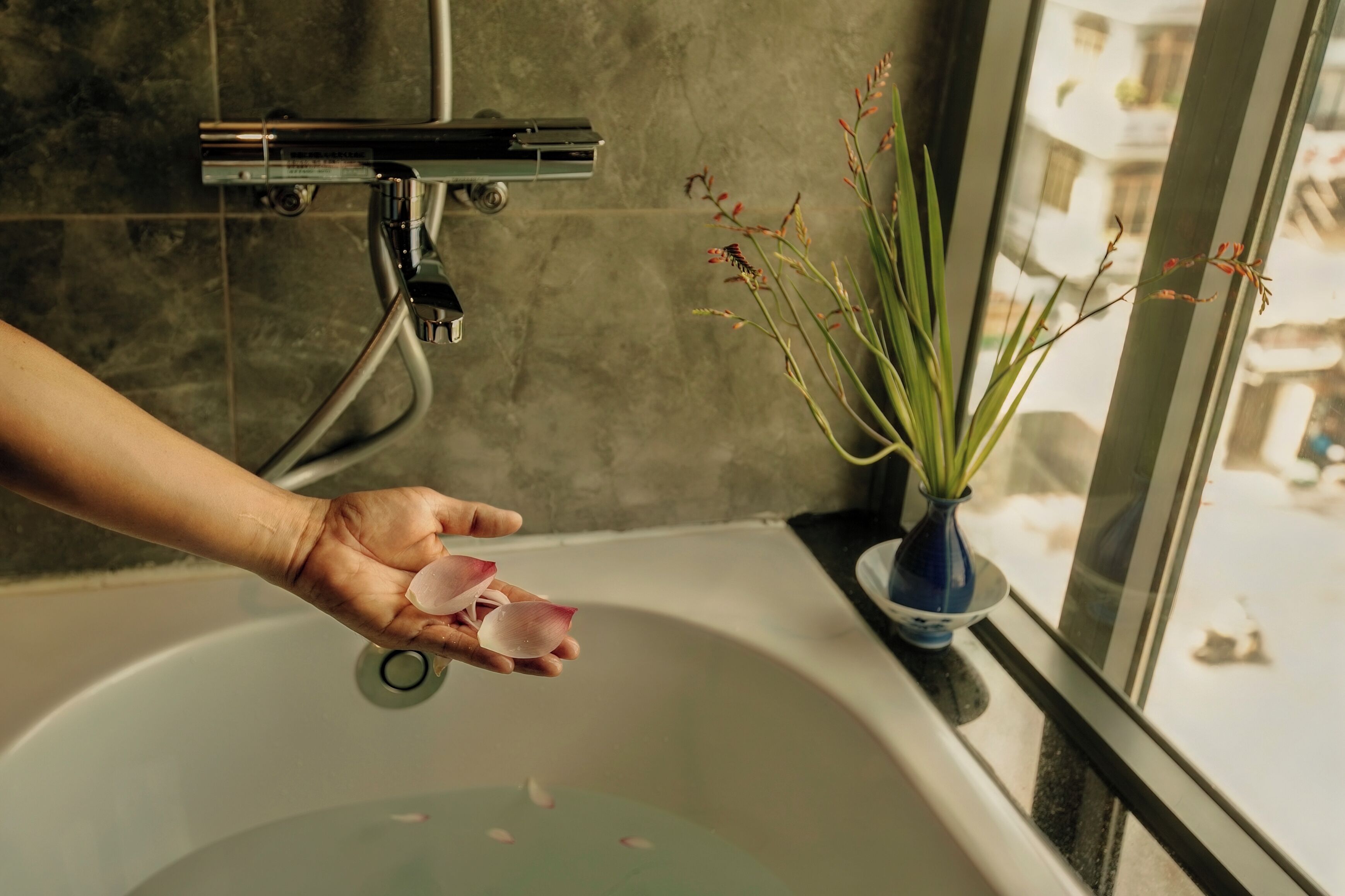 Una mano sosteniendo pétalos de rosa sobre una bañera con vista al exterior.