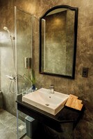 Un baño moderno con cabina de ducha de vidrio, un lavamanos blanco, un espejo y una planta pequeña.