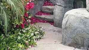 Puutarha, jossa on vaaleanpunaisia bougainvillea-kasveja, kivimuuri ja palmu.