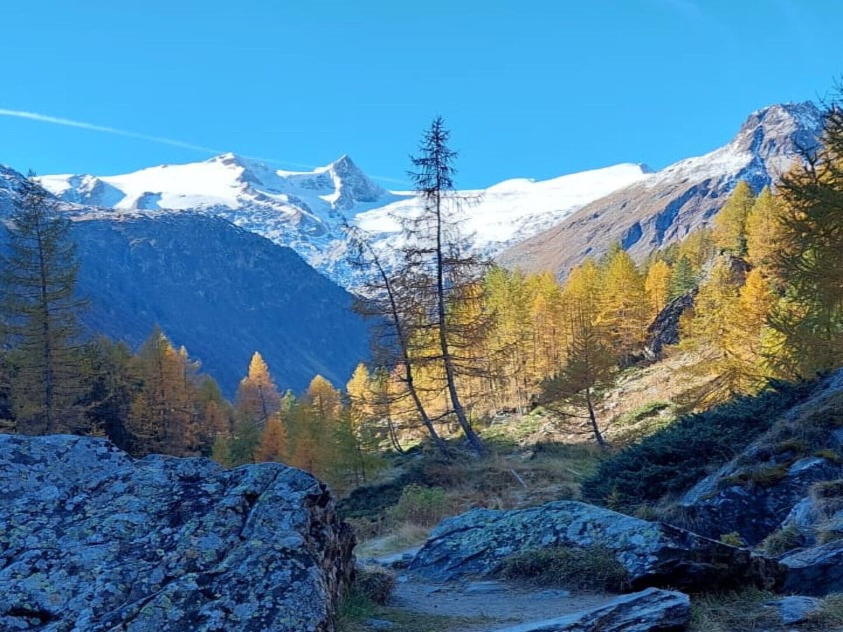 A mountainous landscape with snow-capped peaks, a clear sky, and autumn-colored trees.