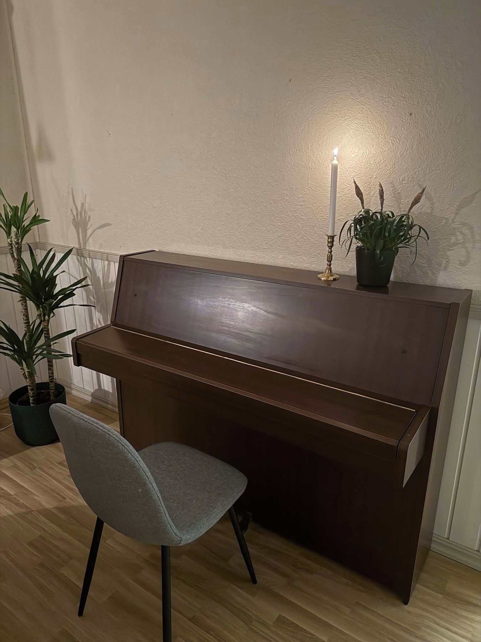 Un piano con acabado oscuro, un sillón tapizado en gris y una planta en maceta sobre el piano.