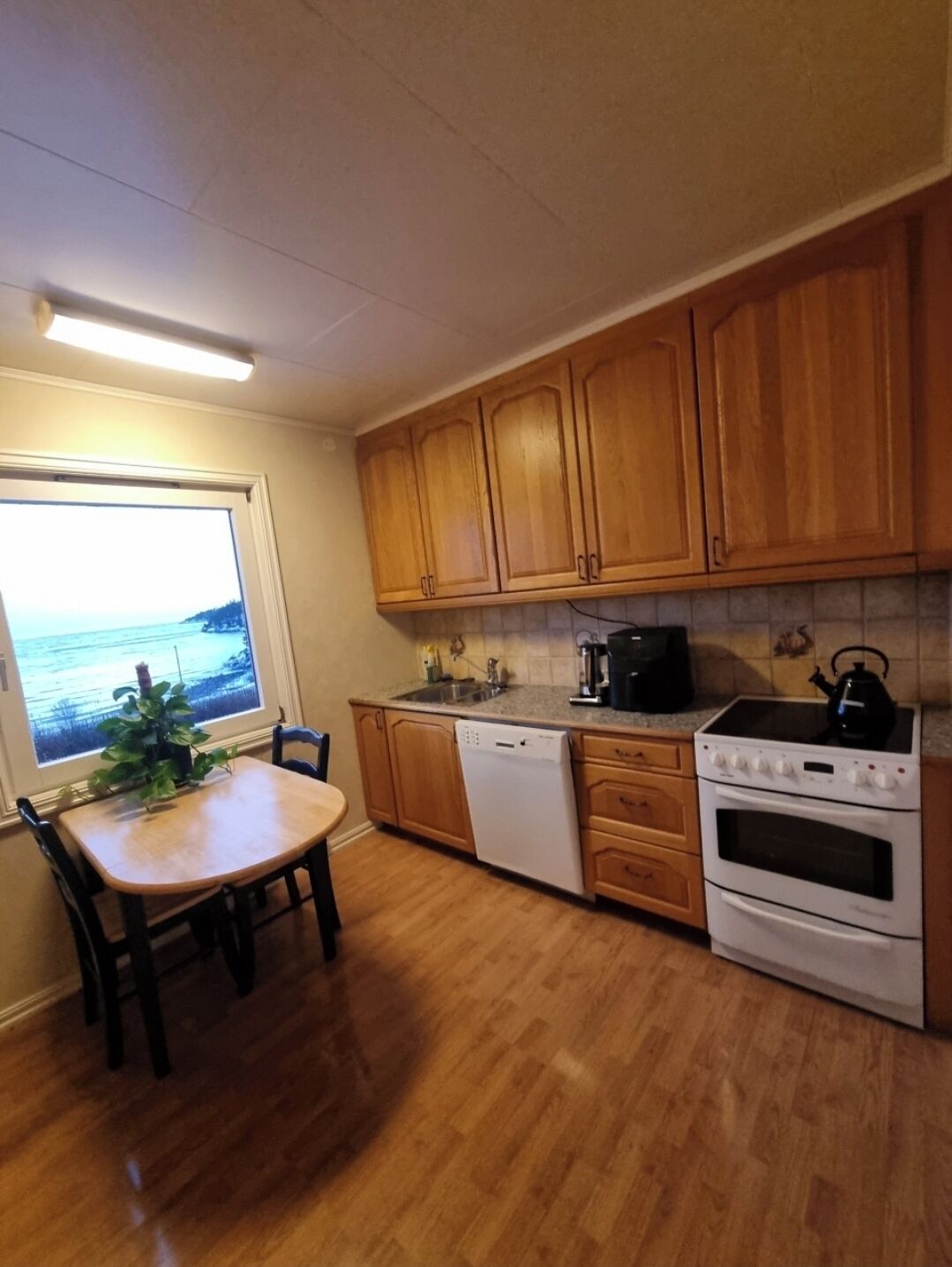 A kitchen with wooden cabinets, a dishwasher, an oven, and a window with a view of the sea.