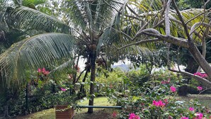 Un jardín exuberante con palmeras, plantas con flores y un banco de madera.