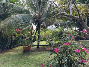 Property grounds - Spacious and comfortable family home (Le François)