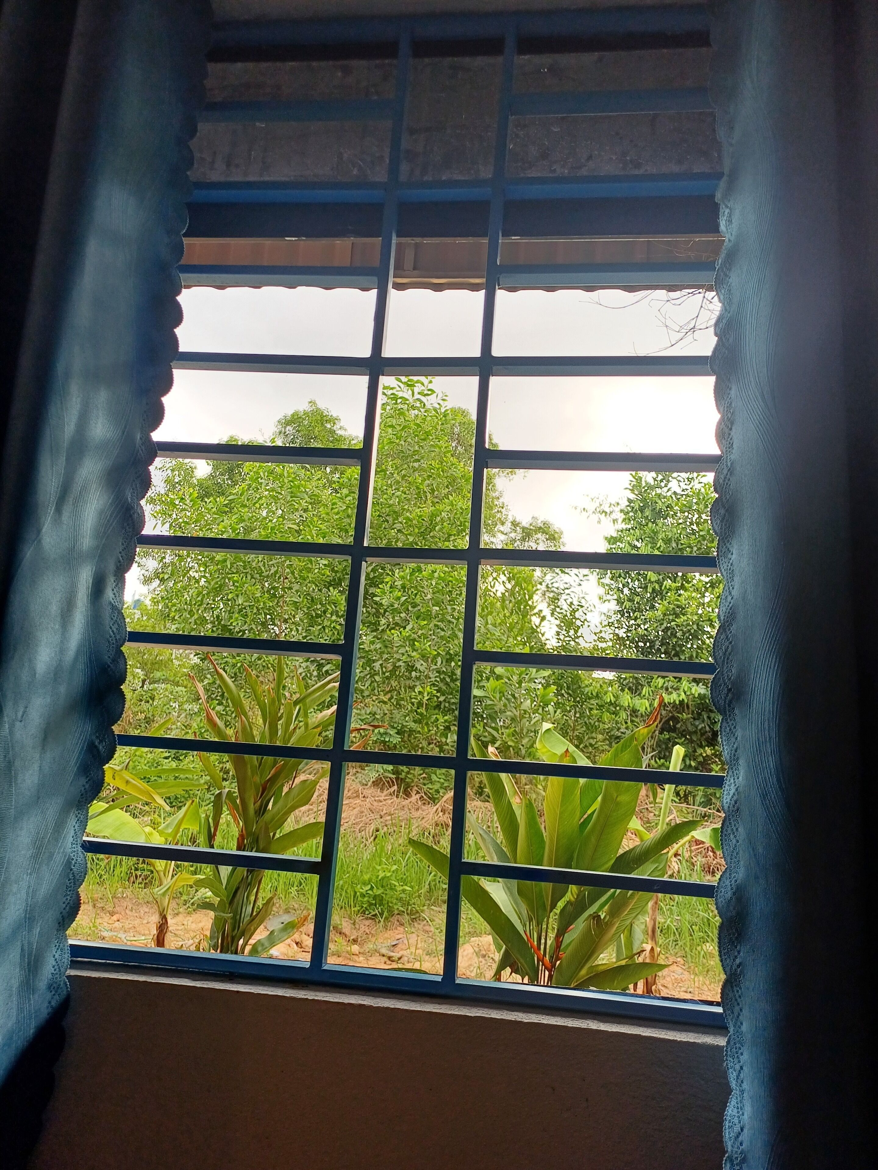 Chambre Deluxe, non-fumeurs, vue jardin | Intérieur