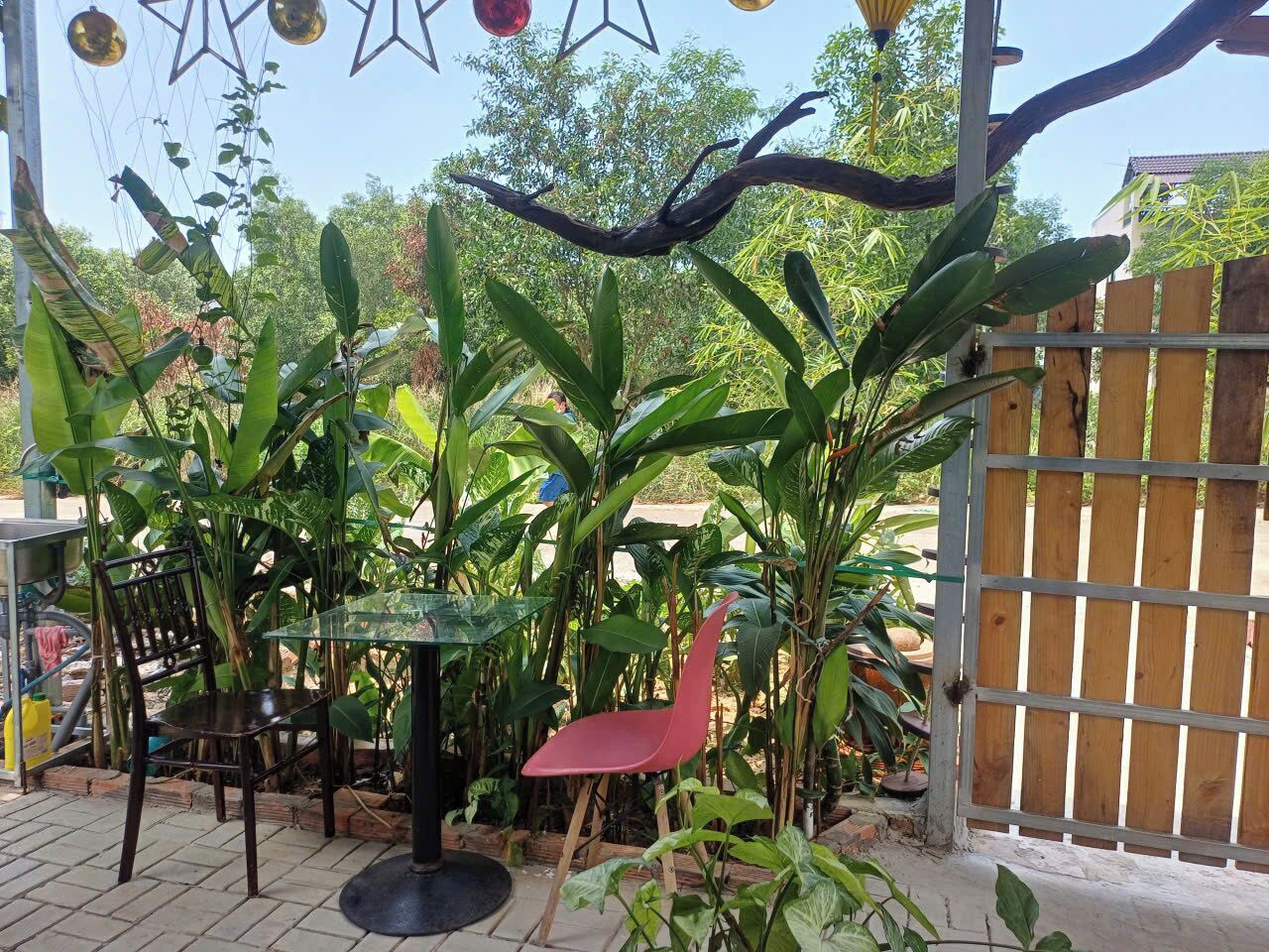 Deluxe Room, Non Smoking, Garden View | Living area