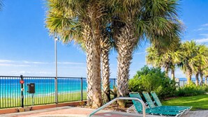 Piscina con escalera metálica, rodeada de palmeras y una valla con vistas a la playa.
