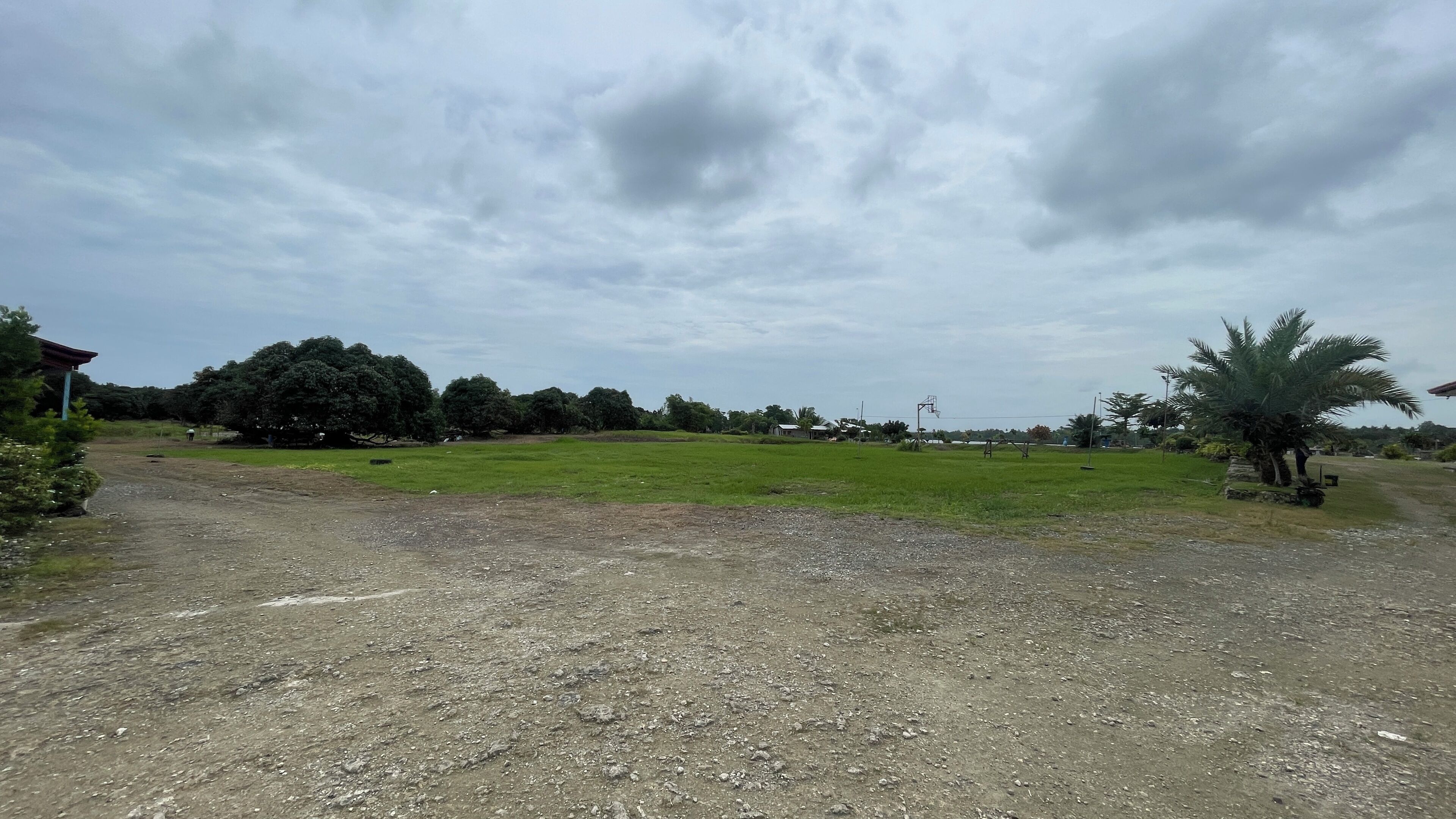 A rural landscape with a dirt road, green fields, and scattered trees.