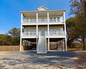 Exterior - Untamed in Carova: Where the Wild Horses Roam (Currituck County)