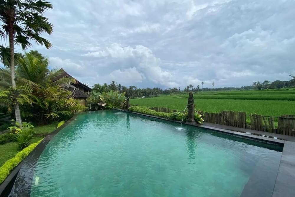 Padi Bali Villa with Private Jacuzzi