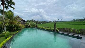 Suite, Balcony, Garden View | Pool